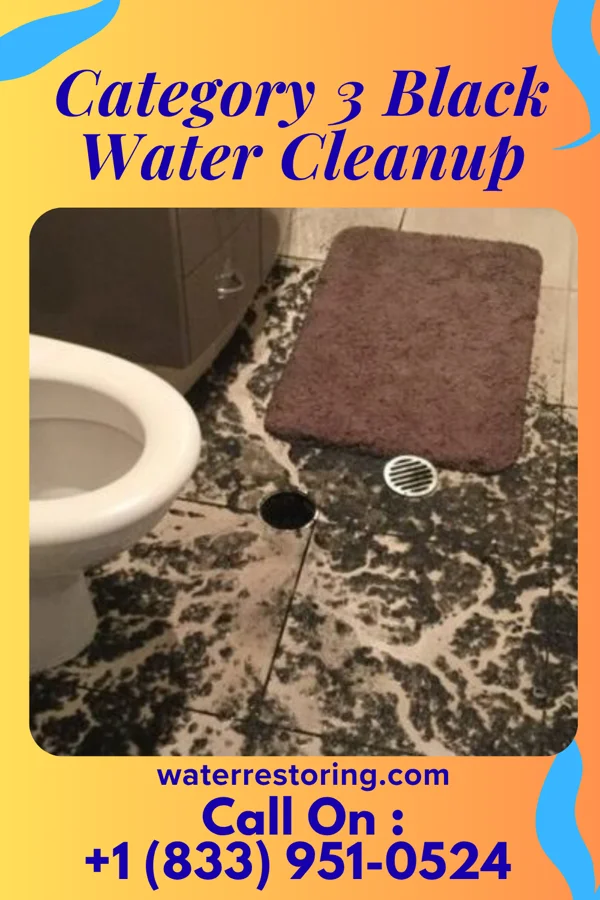 Category 3 Black Water Cleanup in Waikoloa Beach Resort, HI