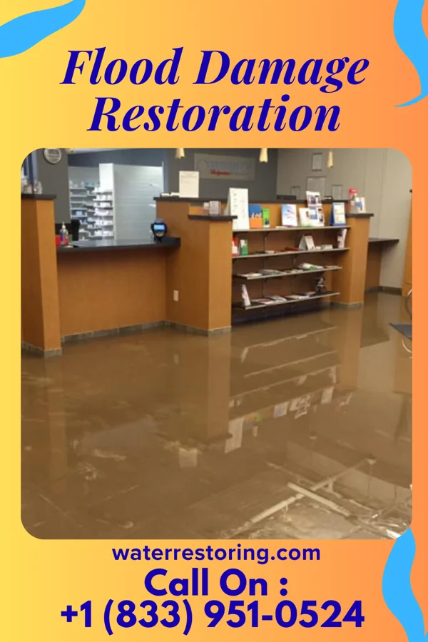 Flood Damage Restoration in Waikoloa Beach Resort, HI